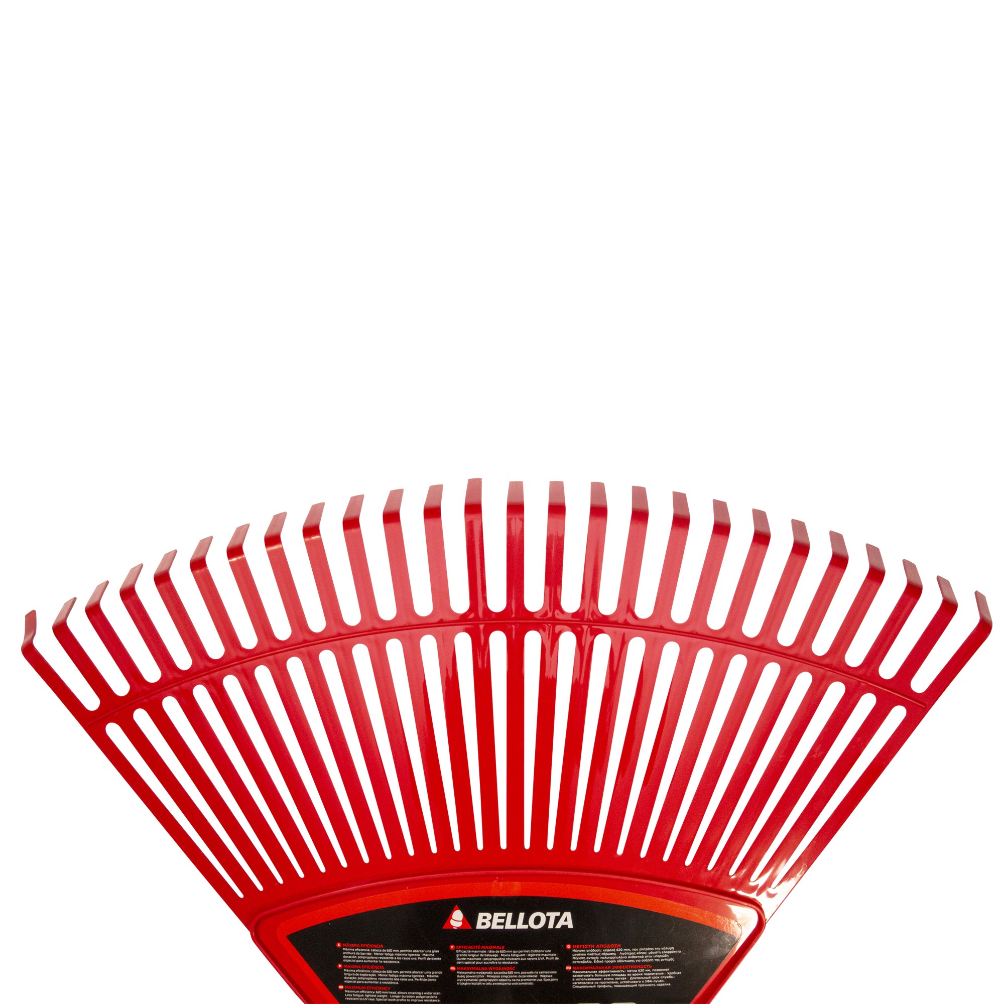 Escoba de plástico púa plana para limpieza de césped con mango madera FSC / 303424CM