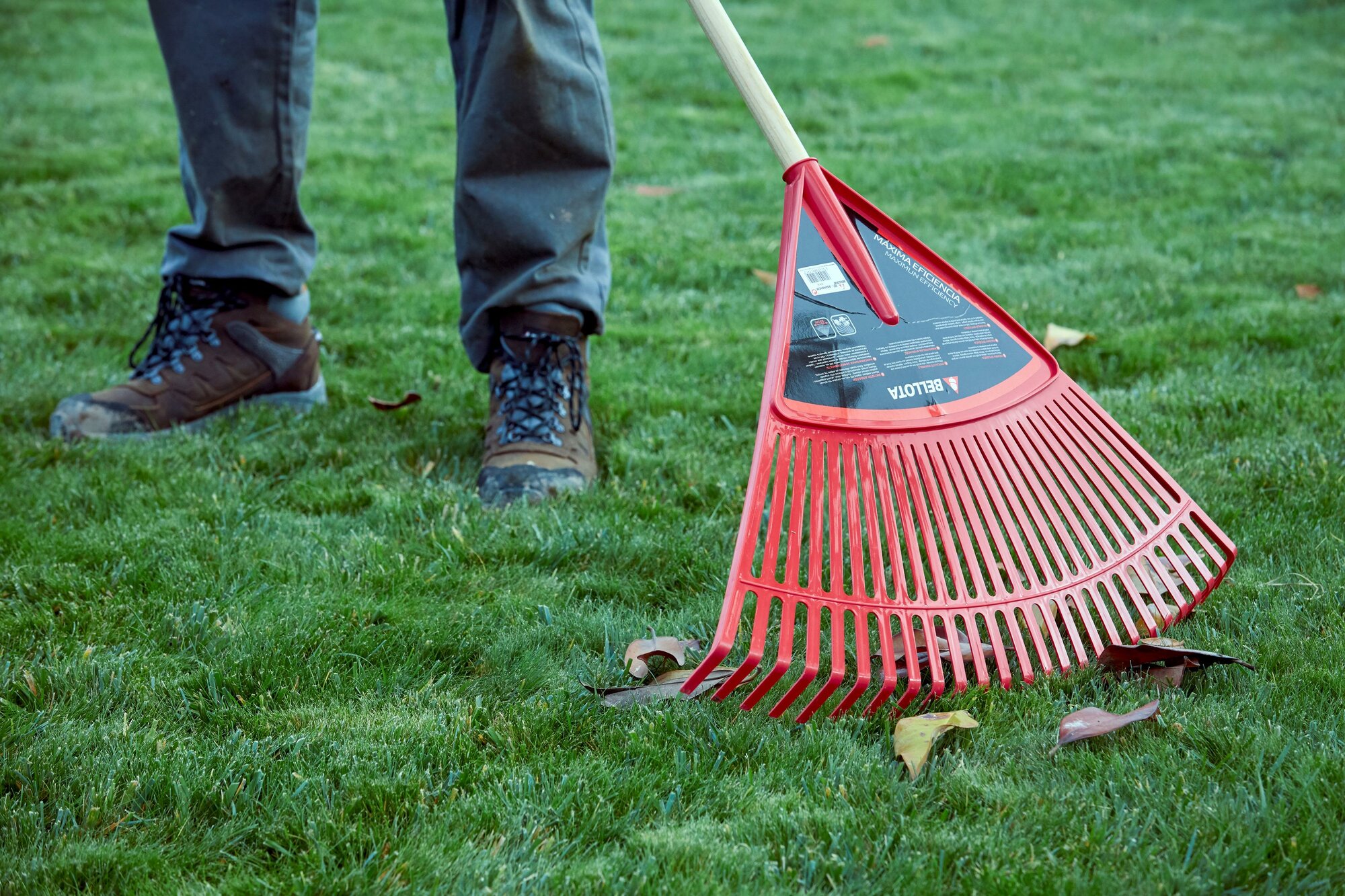 Escoba de plástico púa plana para limpieza de césped con mango madera FSC / 303424CM