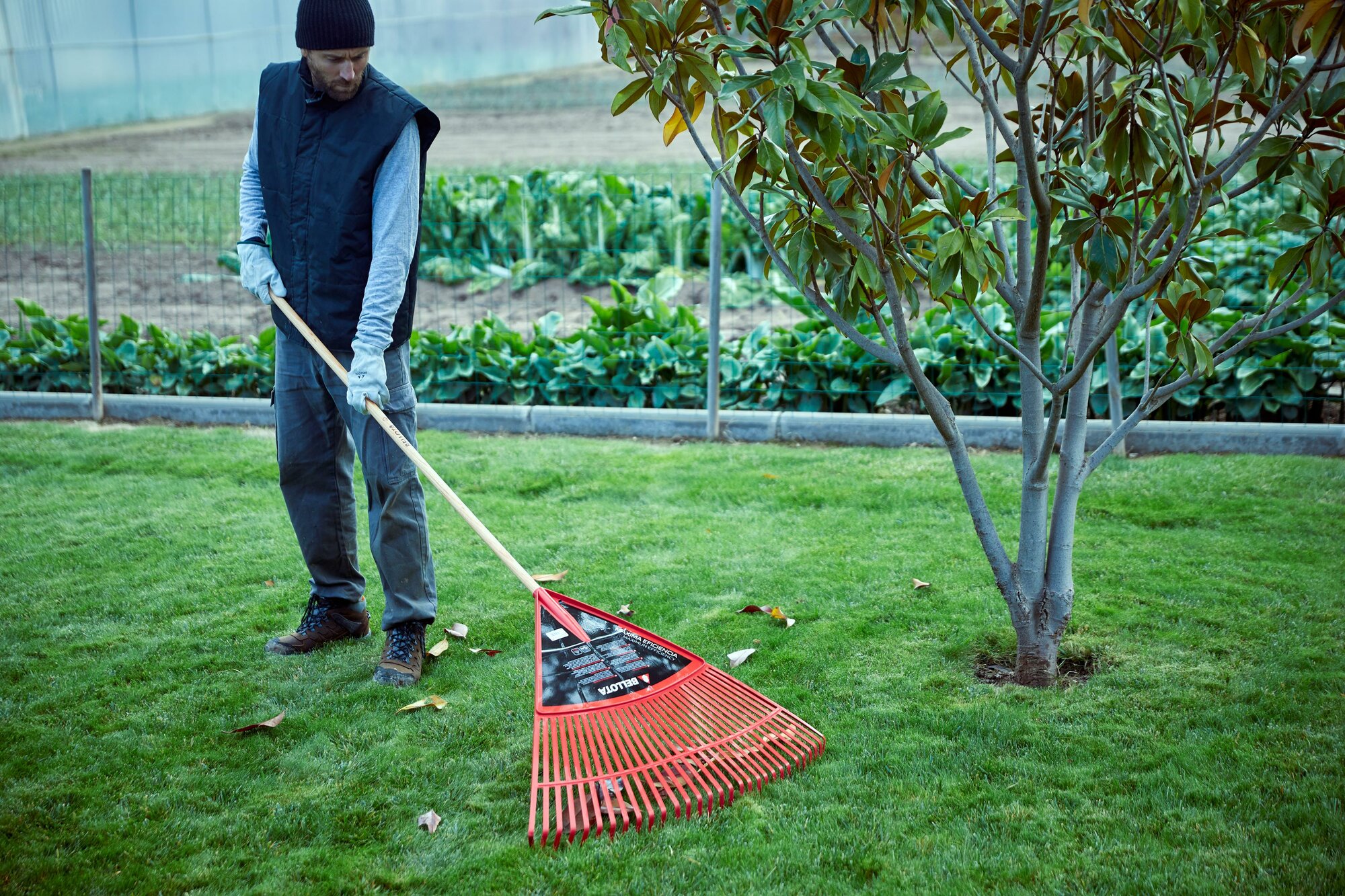 Escoba de plástico extragrande púa plana para limpieza de césped con mango madera FSC / 303432CM