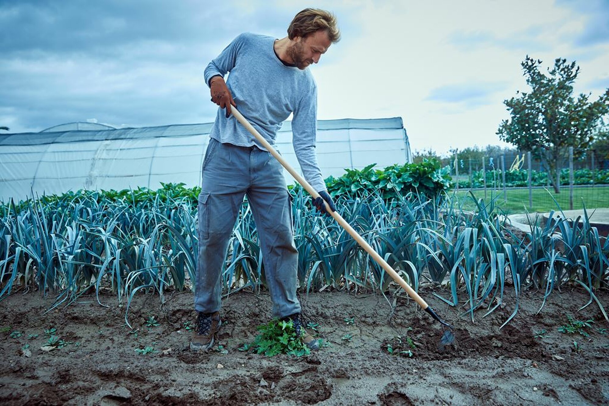 Azada Binadora, afilada para penetrar bien la tierra y cortar las malas hierbas, con mango largo/ 3081CM
