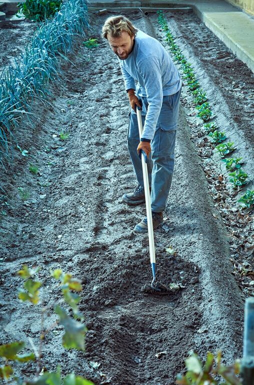 Azada pico para trabajos  de mantenimiento del jardín, con mango largo / 3082CM