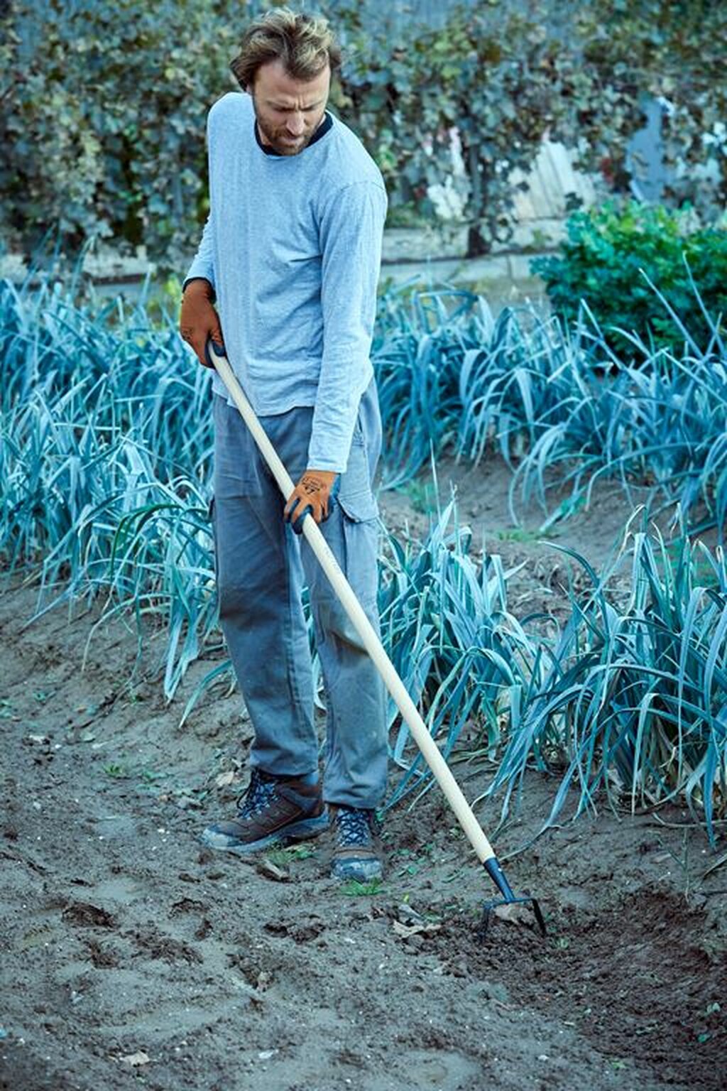 Azada oscilante para mantenimiento del jardín, con mango largo / 3083CM