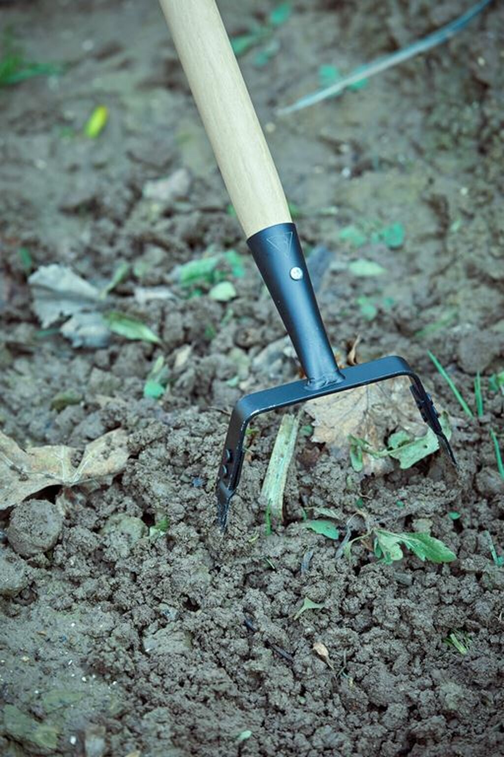 Azada oscilante para mantenimiento del jardín, con mango largo / 3083CM