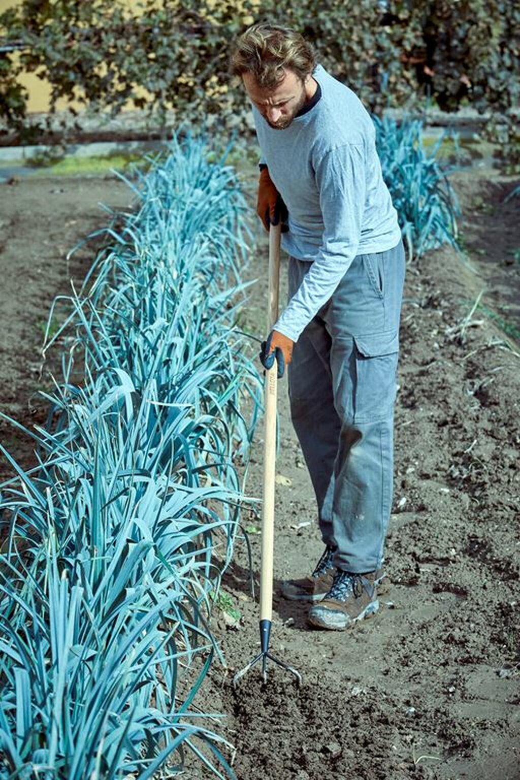 Cultivador 3 púas para trabajos de mantenimiento del jardín / 3084CM
