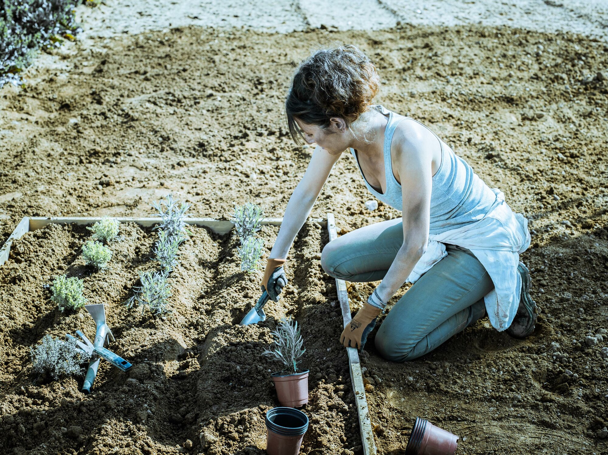 Trasplantador ancho de aluminio y mango corto, con ancho de trabajo 80mm/ 3001