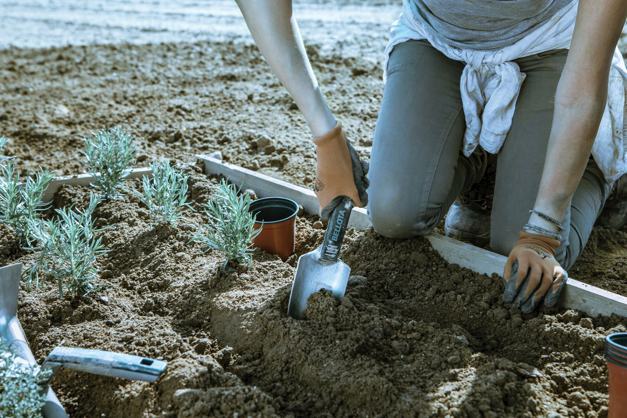 Trasplantador ancho de aluminio y mango corto, con ancho de trabajo 80mm/ 3001