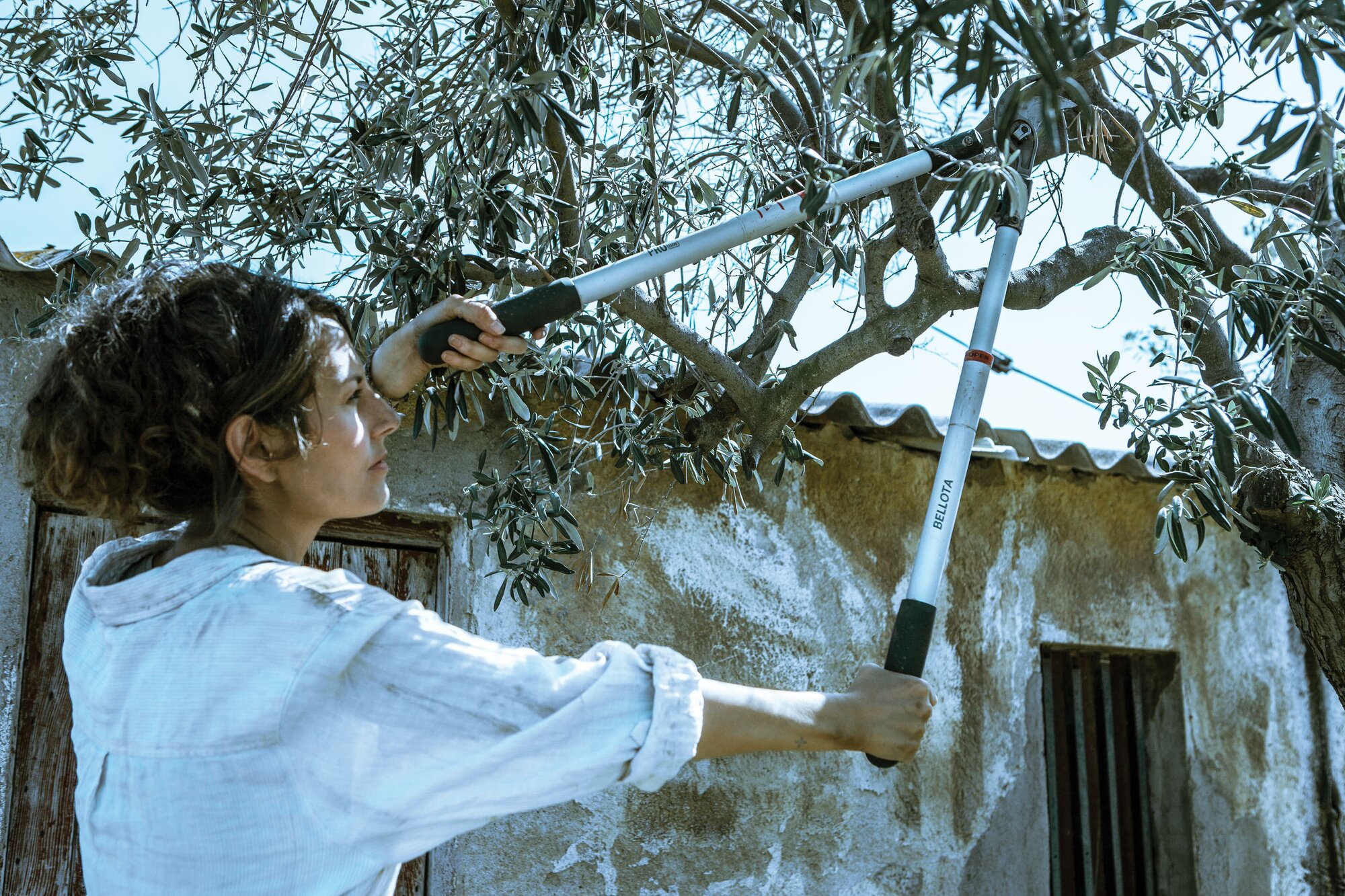 Tijera de dos manos de corte universal con mangos extensibles para uso intensivo, con bulón Ajsute Fácil Proline/ 3578TEL