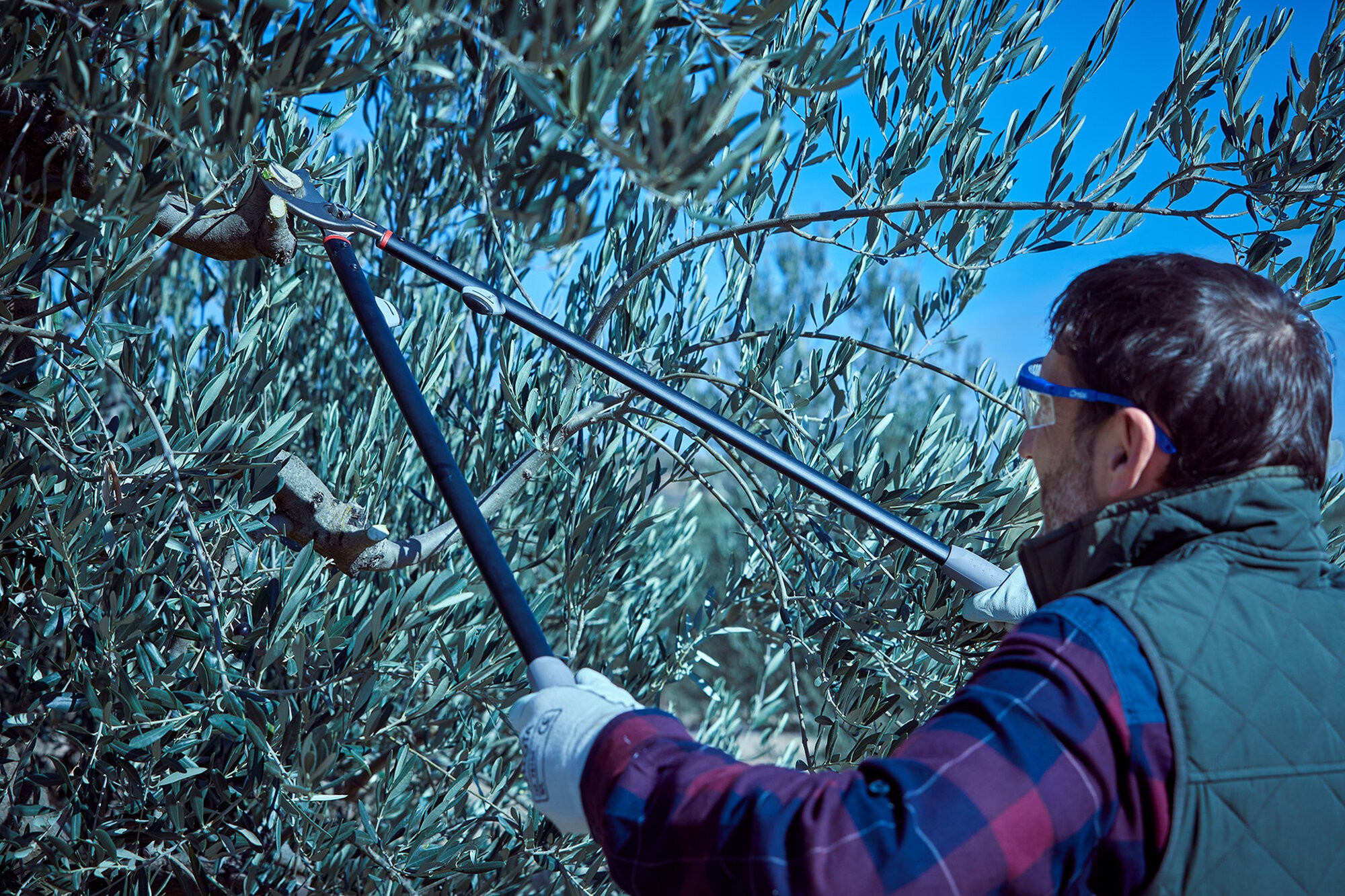 Tijera de dos manos para poda frutal uso intensivo, con bulón Ajuste Fácil,  Proline / 3580
