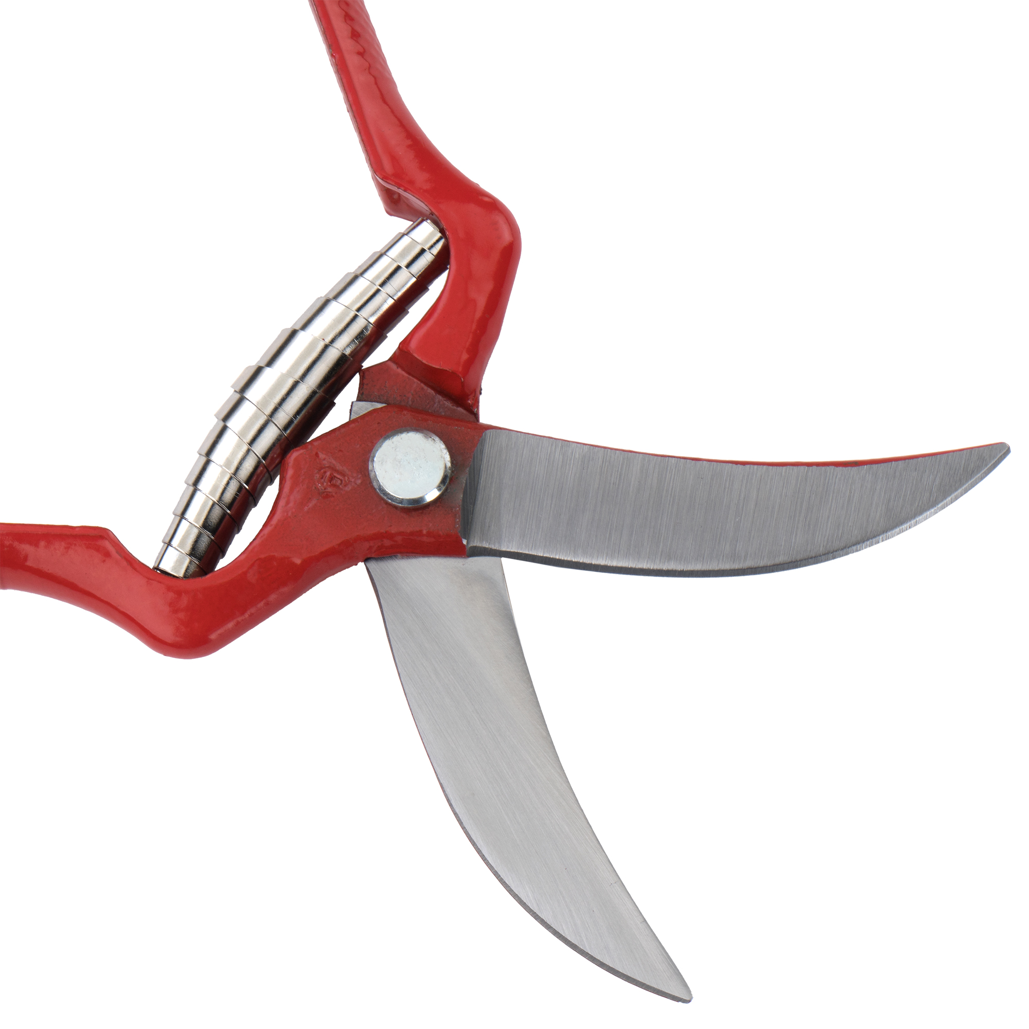 Tijera forjada de una mano para recolección de ajos, uso intensivo / 3503