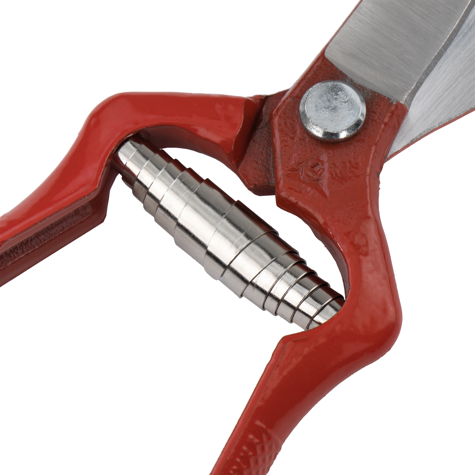 Tijera forjada de una mano para recolección de ajos, uso intensivo / 3503