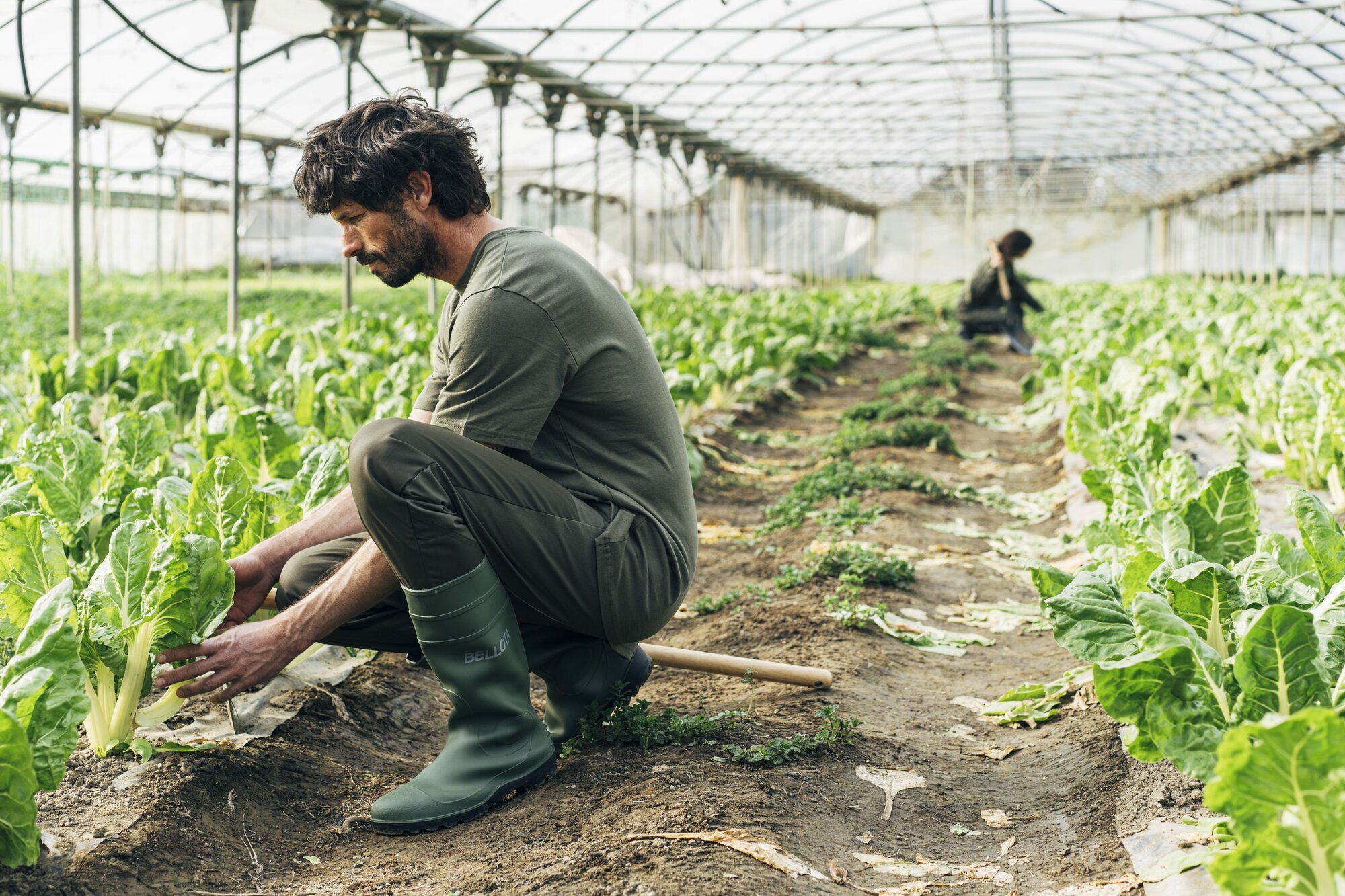 Bota de seguridad de agua PVC S5 Verde / 72242