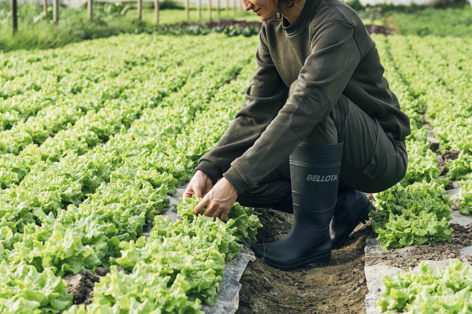 Bota de seguridad de agua PVC S5 Verde / 72242