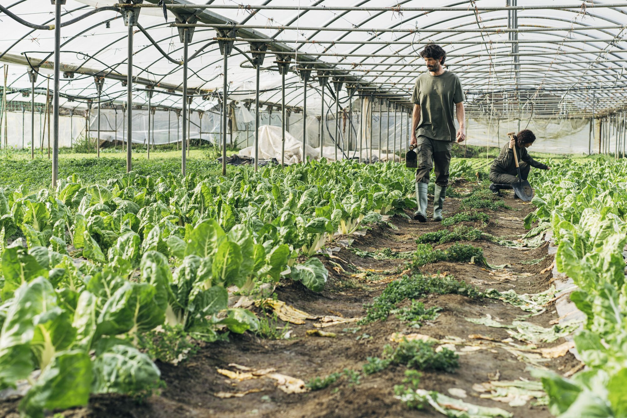 Bota de seguridad de agua PVC S5 Verde / 72242