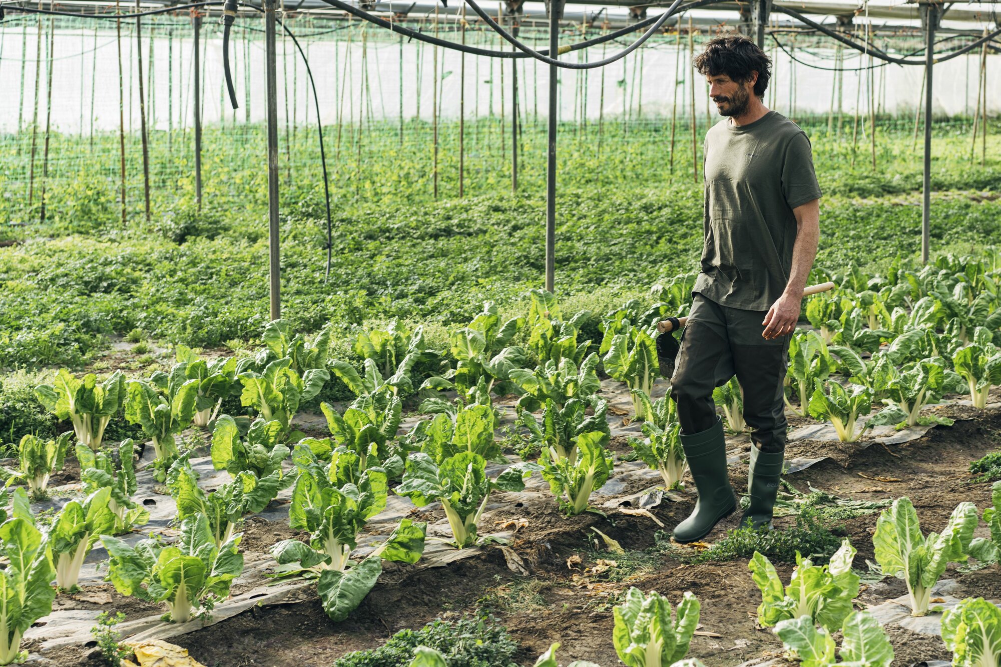 Bota de seguridad de agua PVC S5 Verde / 72242