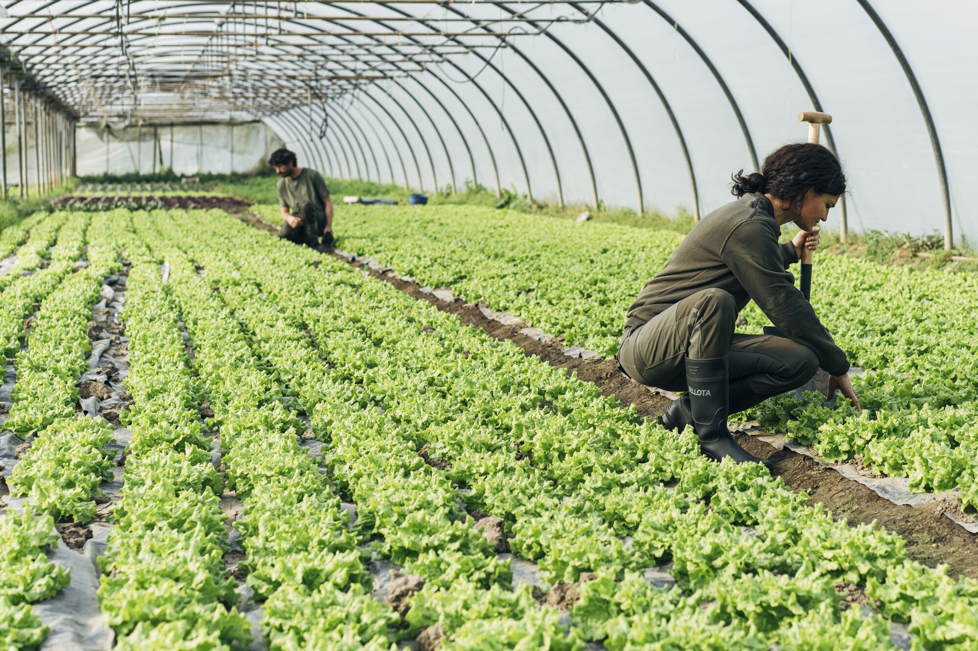 Bota de seguridad de agua PVC S5 Verde / 72242