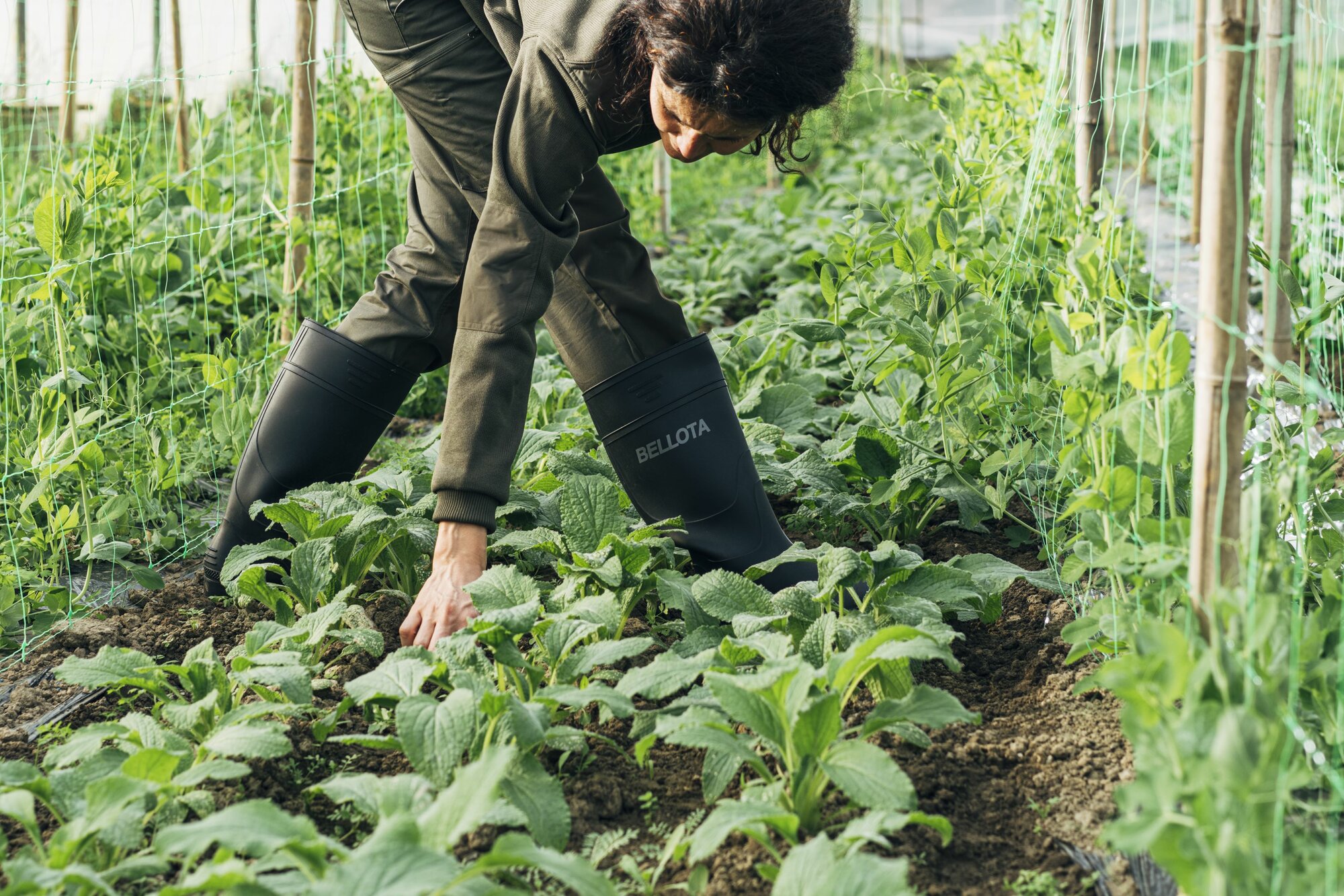 Bota de seguridad de agua PVC S5 Verde / 72242