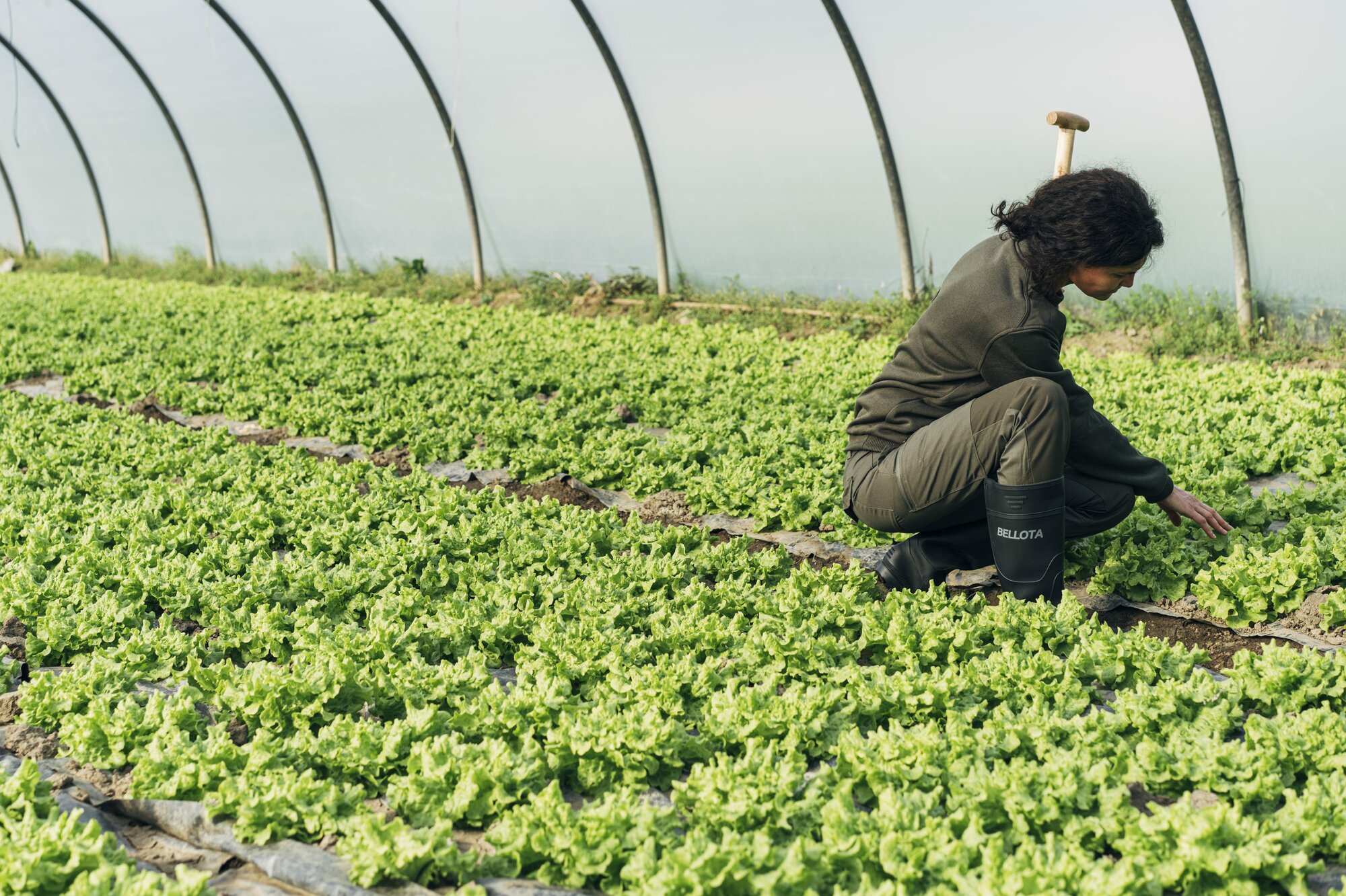 Bota de seguridad de agua PVC S5 Verde / 72242