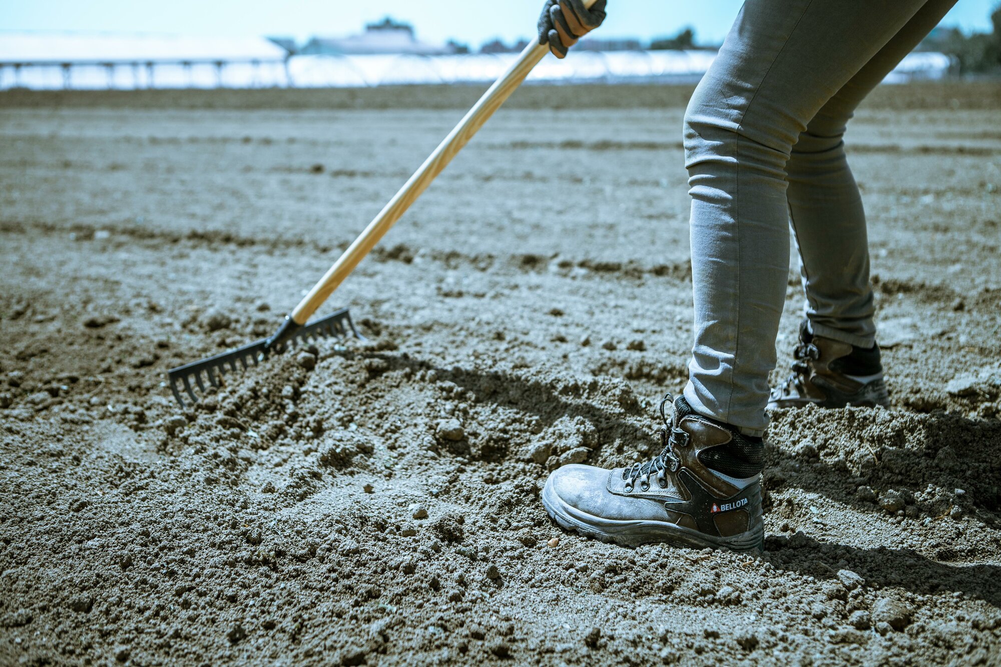 Rastrillo uso doméstico, con mango de madera, para limpiar, igualar y preparar la tierra / 952CML