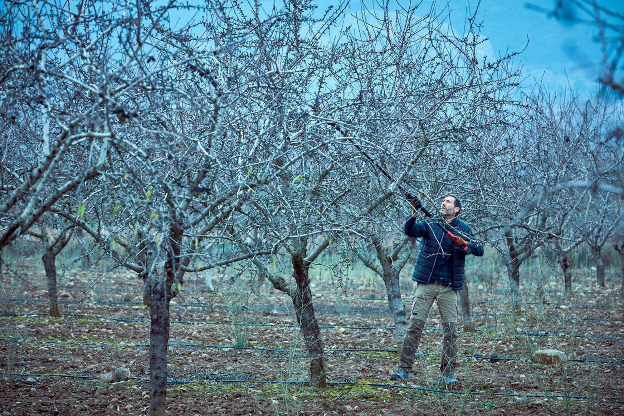 Pértiga extensible hasta 2,2m compatible con las tijeras eléctricas a batería  de la primera generación/ EPP1EXTP