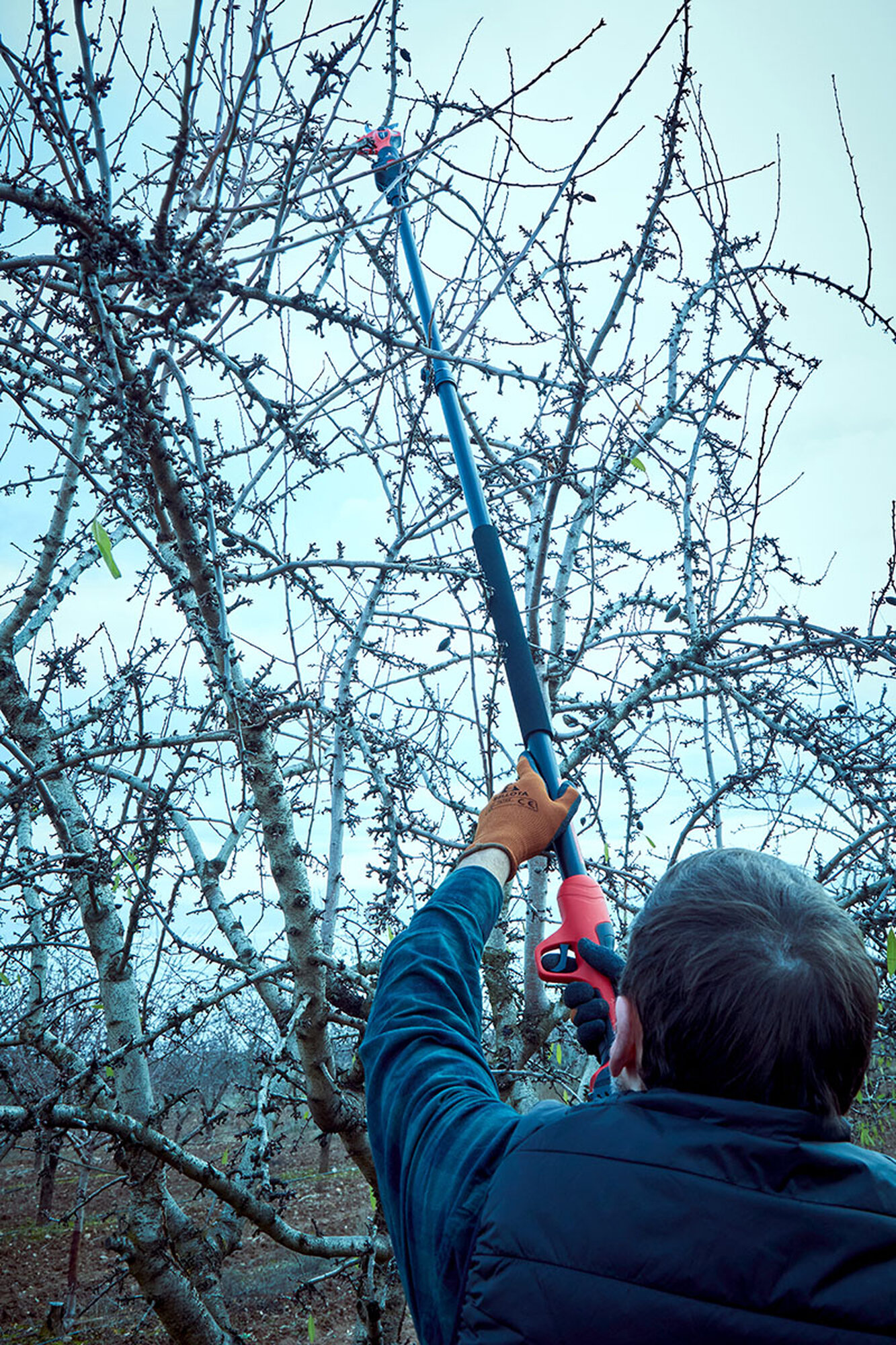 Pértiga extensible hasta 2,2m compatible con las tijeras eléctricas a batería  de la primera generación/ EPP1EXTP