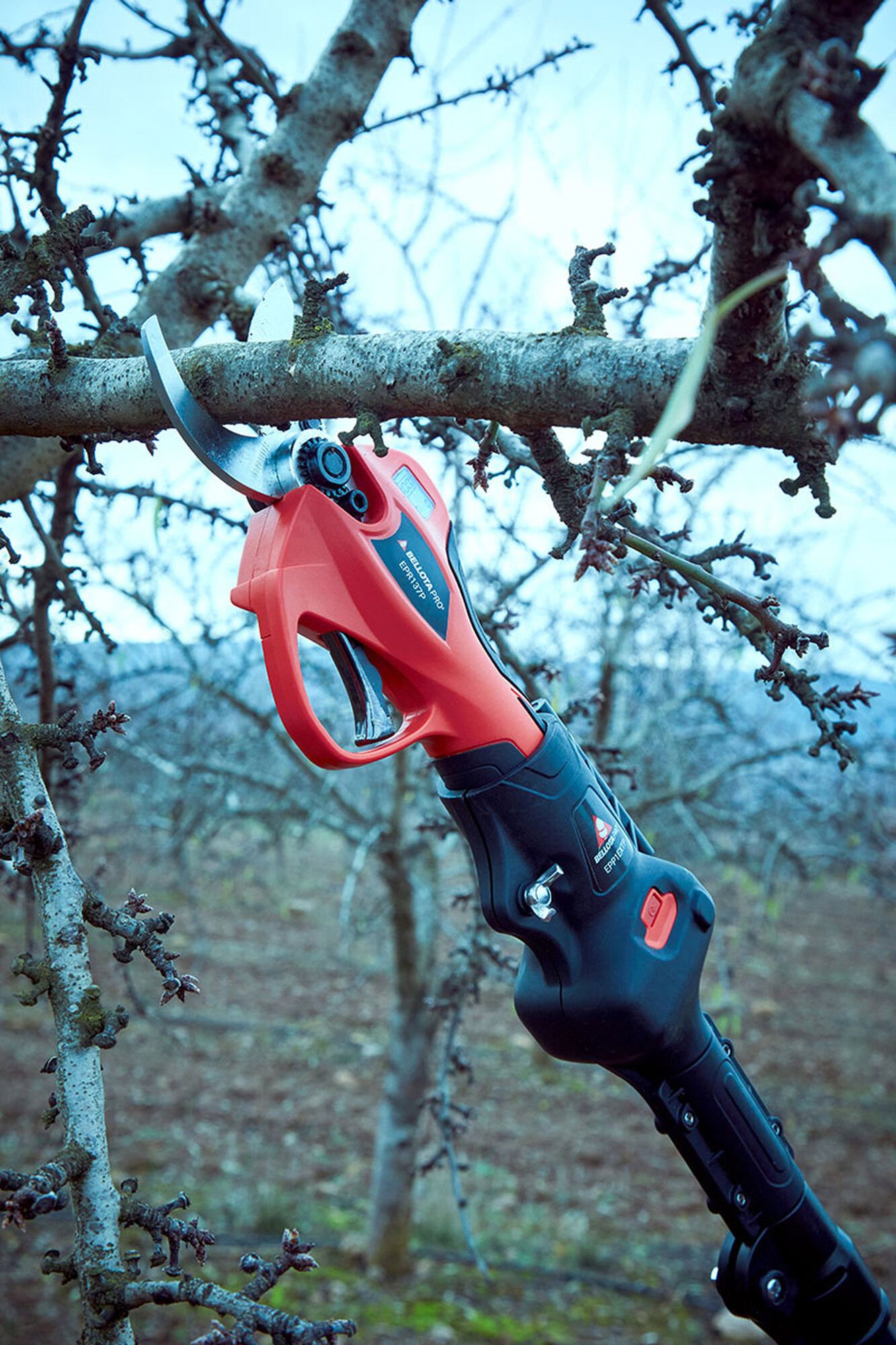 Pértiga extensible hasta 2,2m compatible con las tijeras eléctricas a batería  de la primera generación/ EPP1EXTP