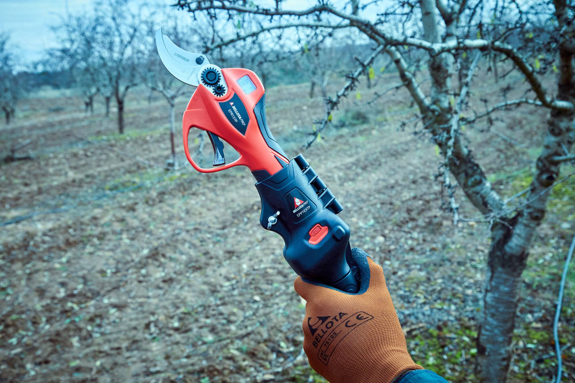 Pértiga extensible hasta 2,2m compatible con las tijeras eléctricas a batería  de la primera generación/ EPP1EXTP