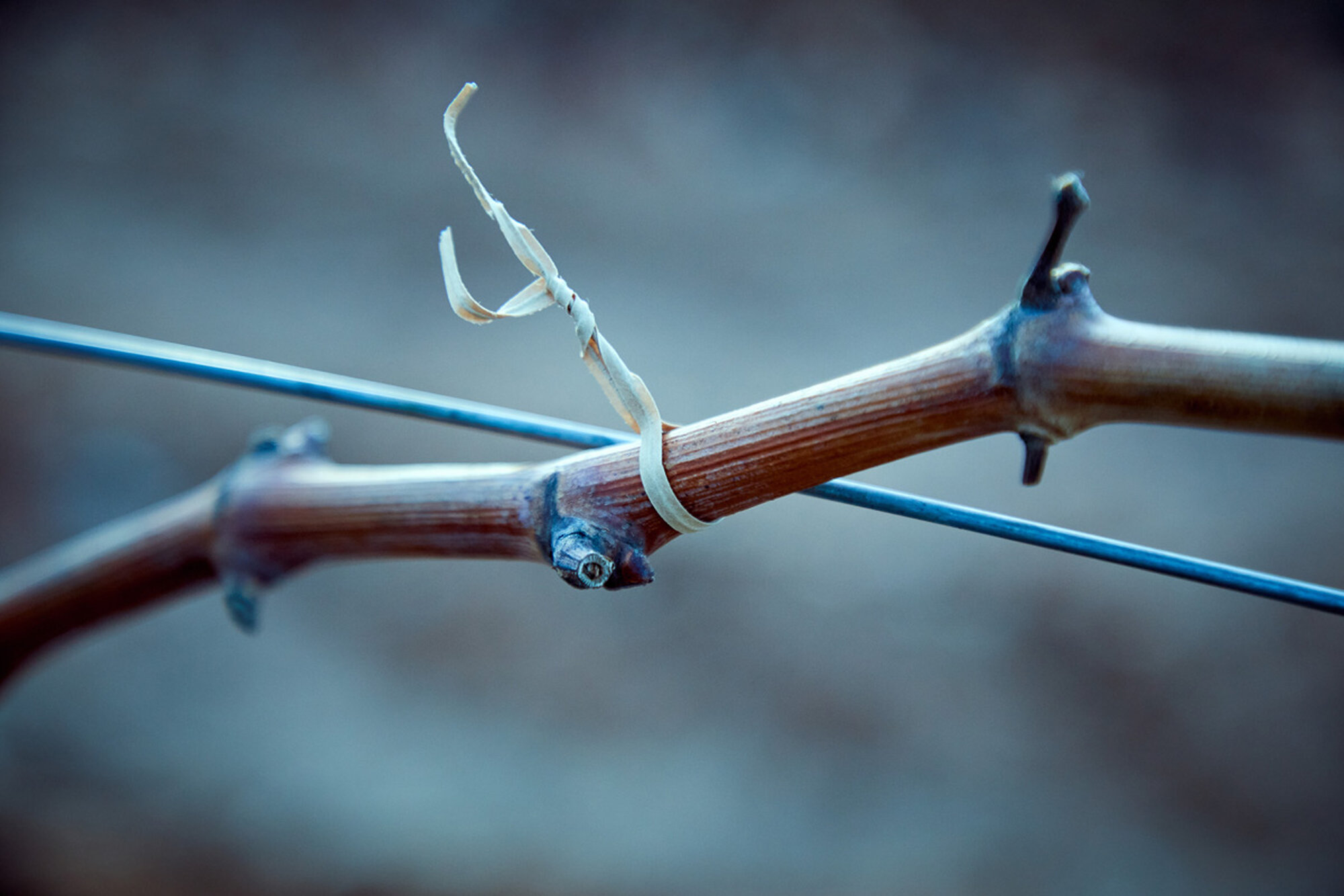 Atadora eléctrica sin cable, con batería de Litio Ion y diámetro máximo de atado  25mm / ETY125P
