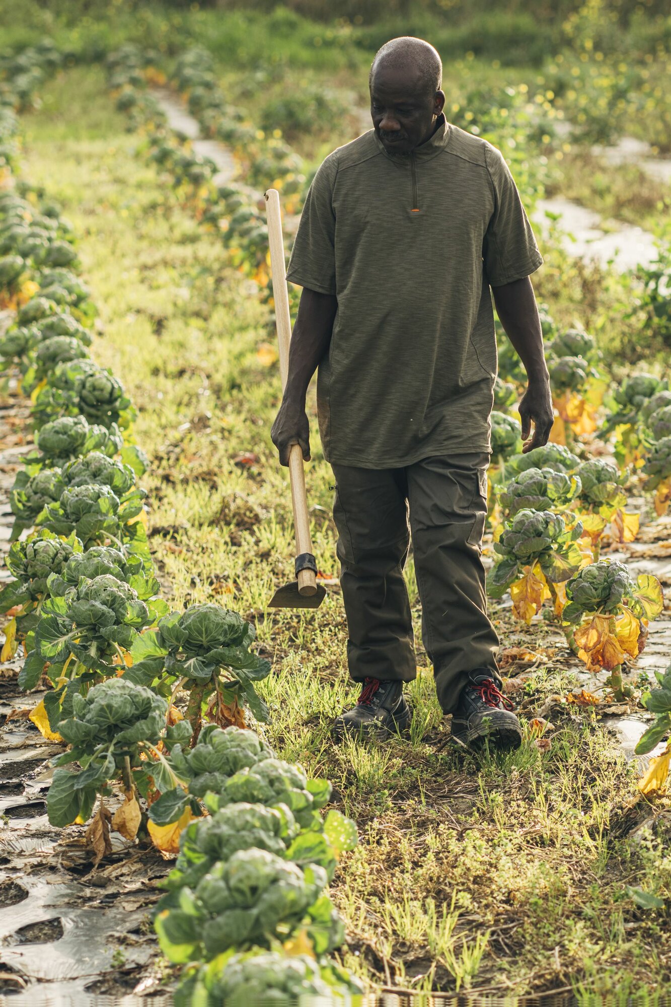 Bota de seguridad Classic S3 Nitrilo / 72300LNT