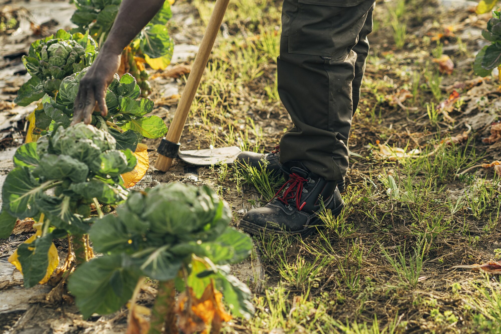 Bota de seguridad Classic S3 Nitrilo / 72300LNT