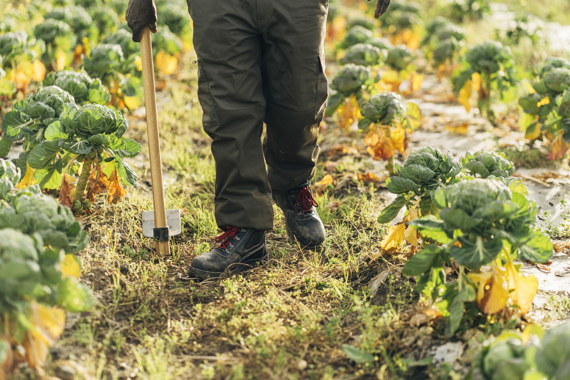 Bota de seguridad Classic S3 Nitrilo / 72300LNT