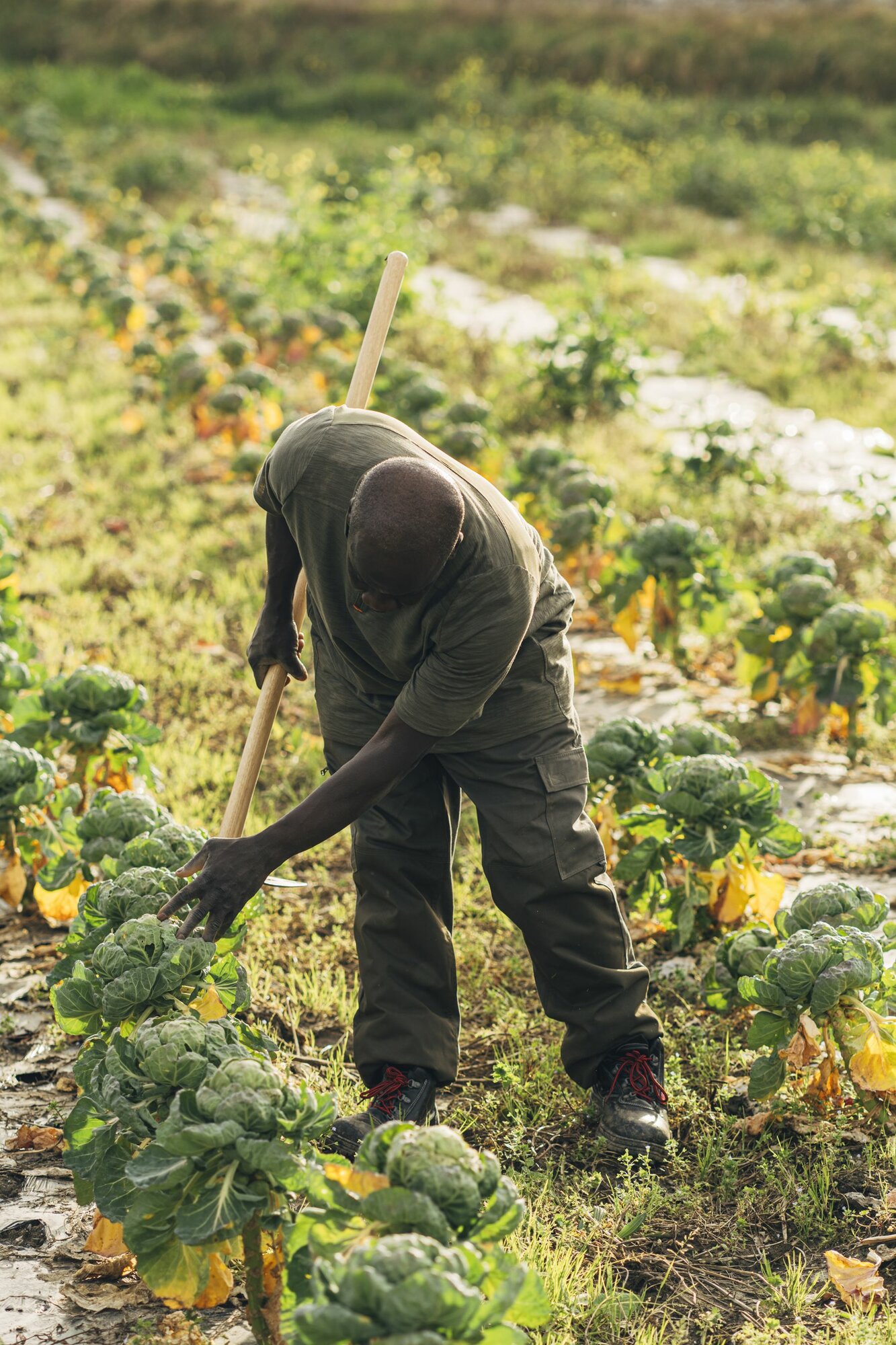 Bota de seguridad Classic S3 Nitrilo / 72300LNT