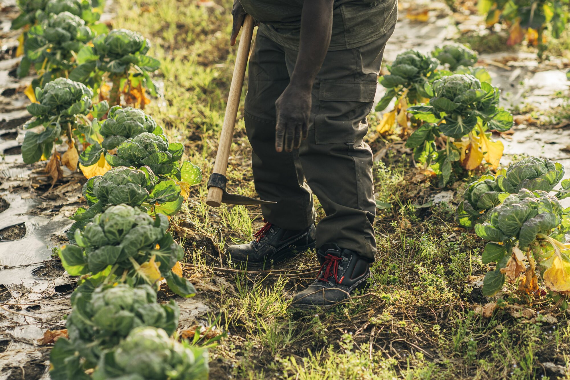 Bota de seguridad Classic S3 Nitrilo / 72300LNT