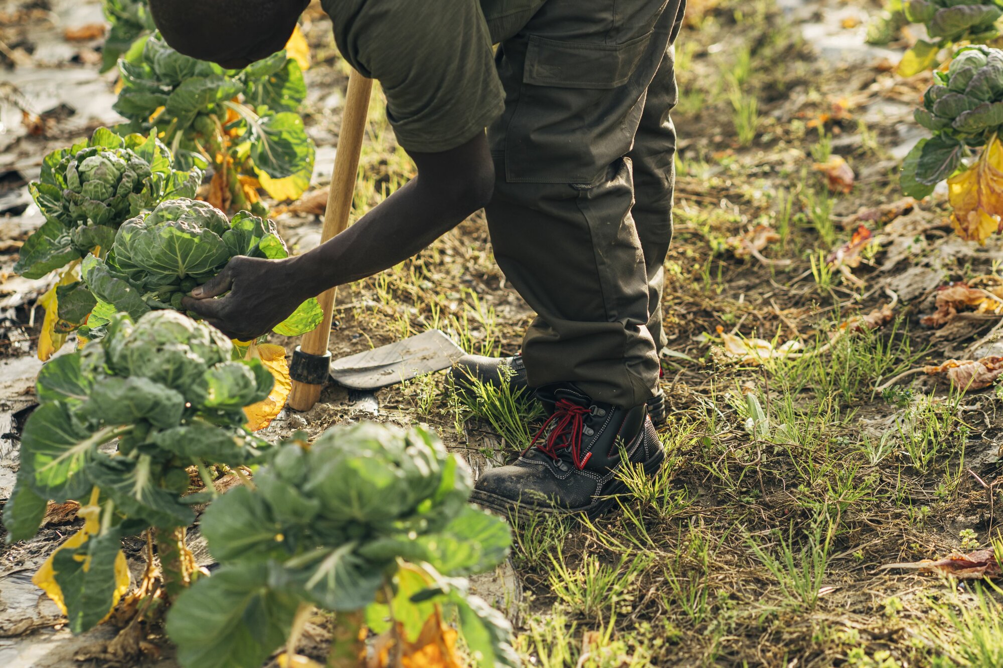 Bota de seguridad Classic S3 Nitrilo / 72300LNT