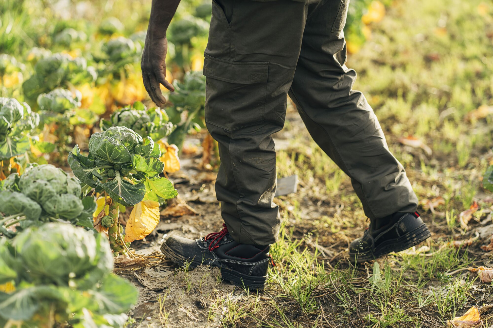 Bota de seguridad Classic S3 Nitrilo / 72300LNT