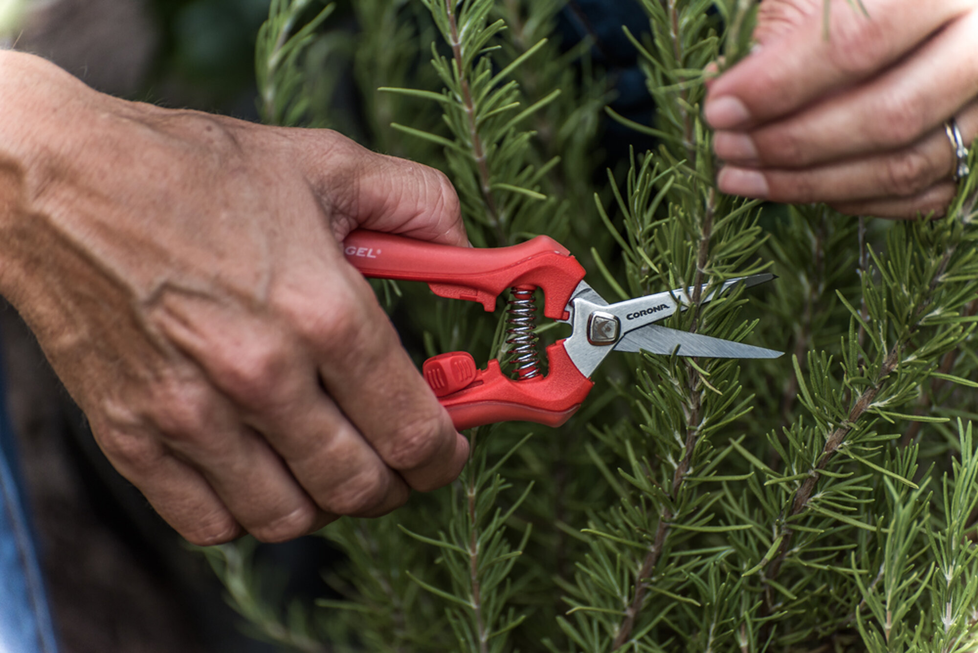 Tijera ComfortGEL® Detalles / FS3214D