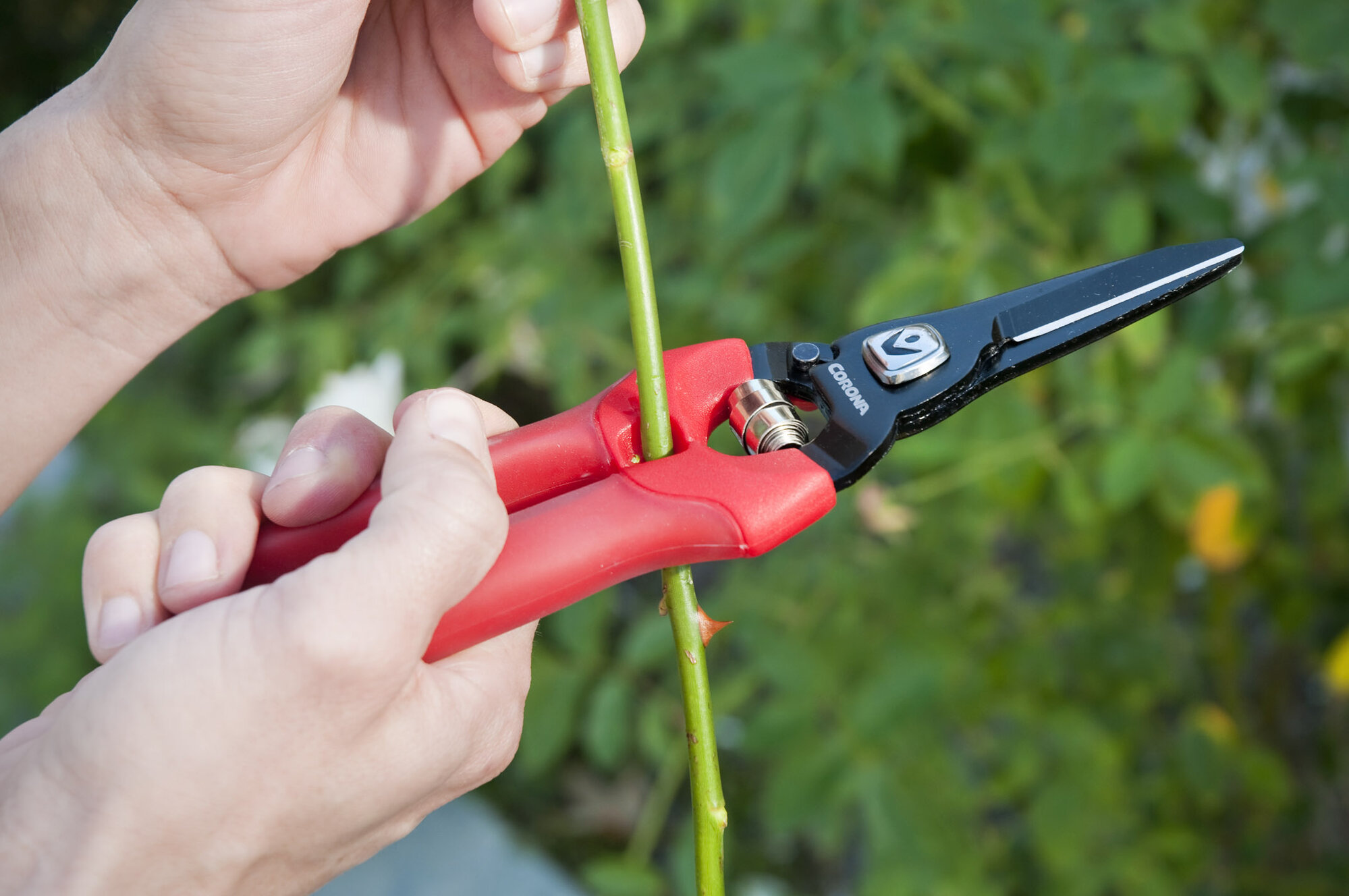 Tijera ComfortGEL® - Floral / FS3204