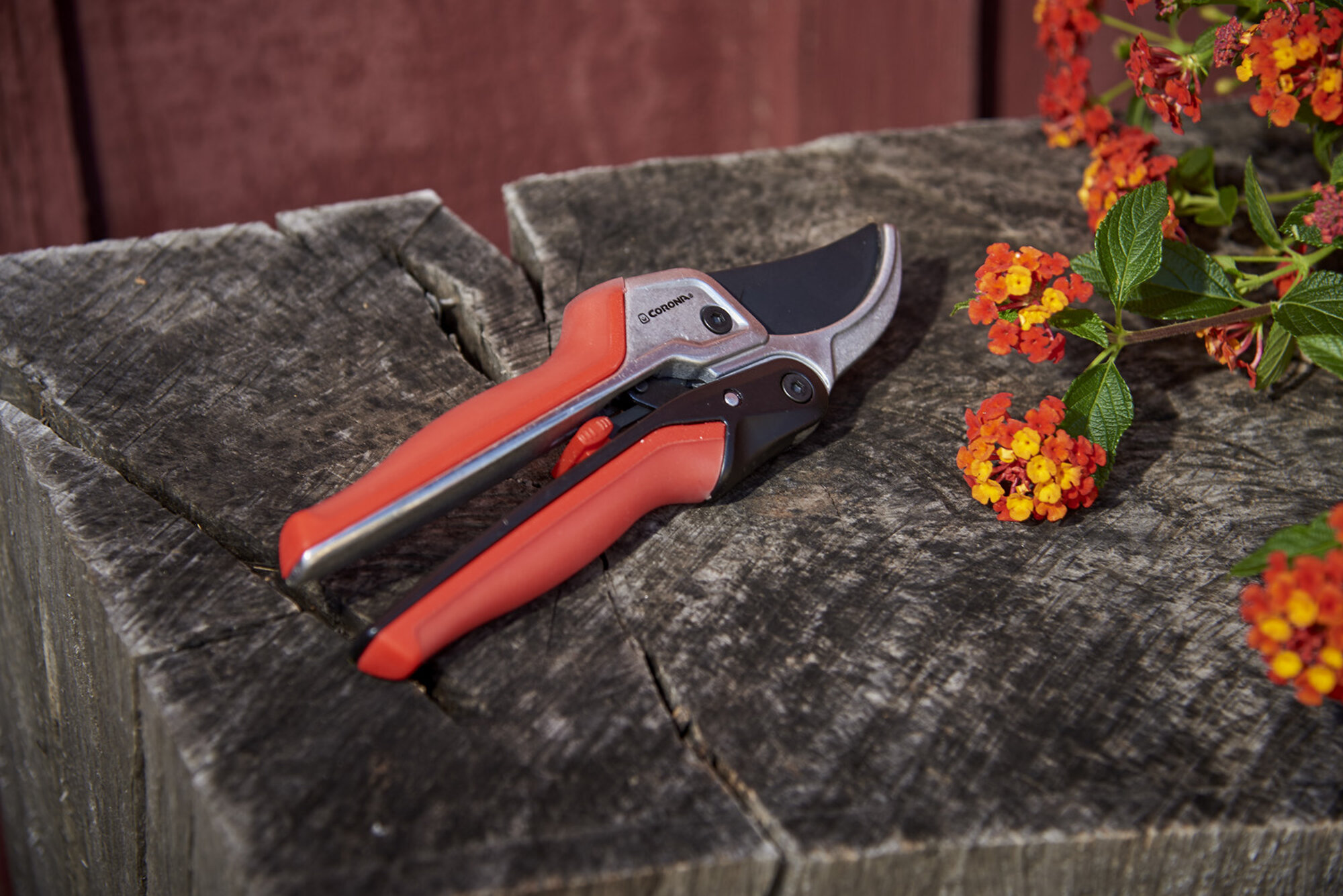 Tijera Rachet ComfortGEL®- RachetCUT™- 19mm / RP4224D