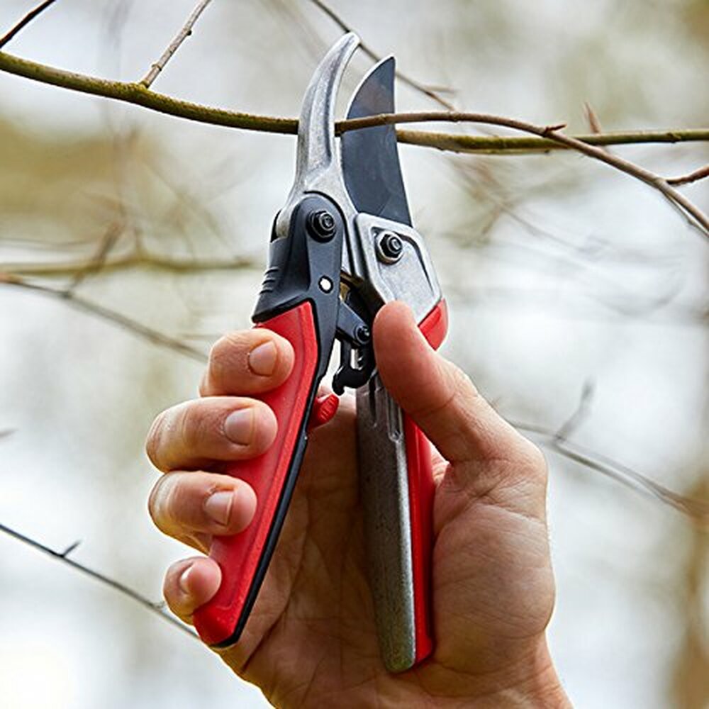 Tijera Rachet ComfortGEL®- RachetCUT™- 19mm / RP4224D