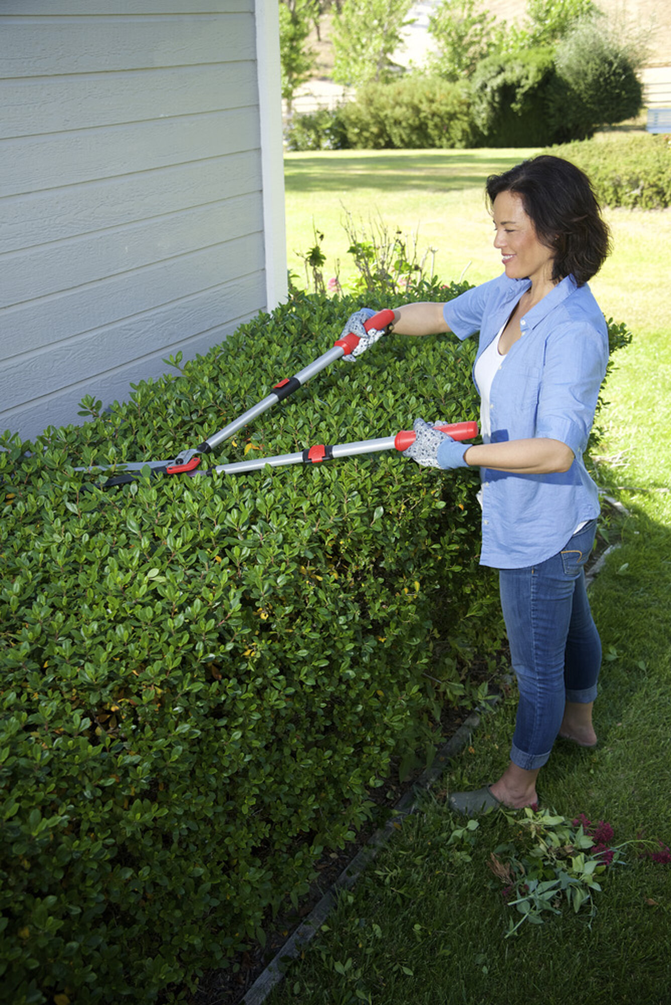 Corta setos extensible (42-62,5cm) ComfortGEL+™ 25cm / HS4344