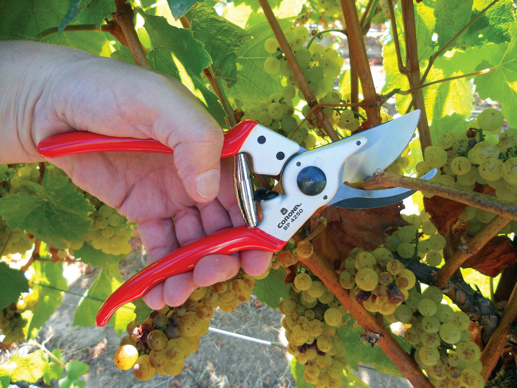 Tijera Aluminio MAX - 25mm / BP4250