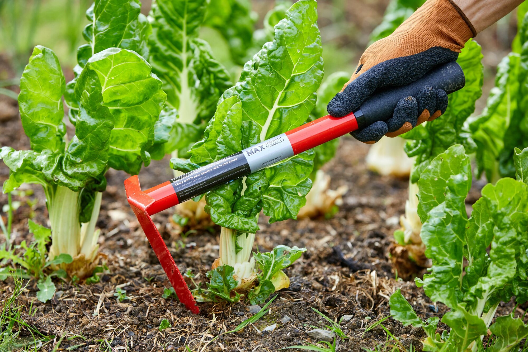 Azadilla-MAX / HT69100