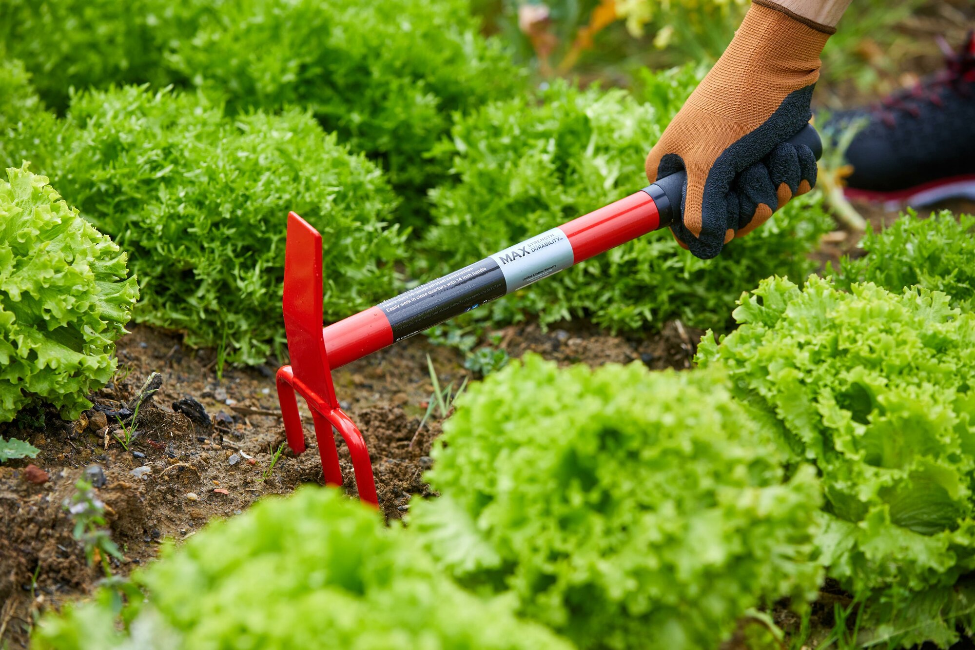 Cultivador MAX / HT69300