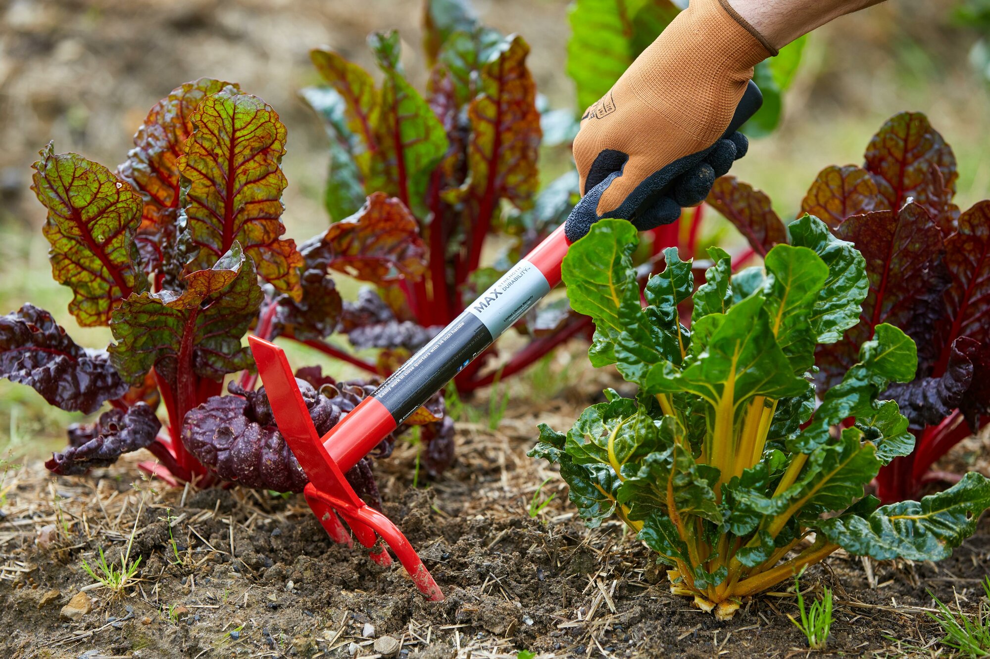 Cultivador MAX / HT69300