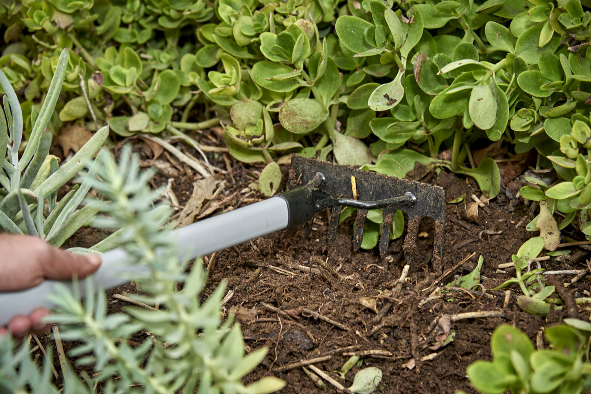 Rastrillo 7 púas- mango intermedio ComfortGEL® / GT3234