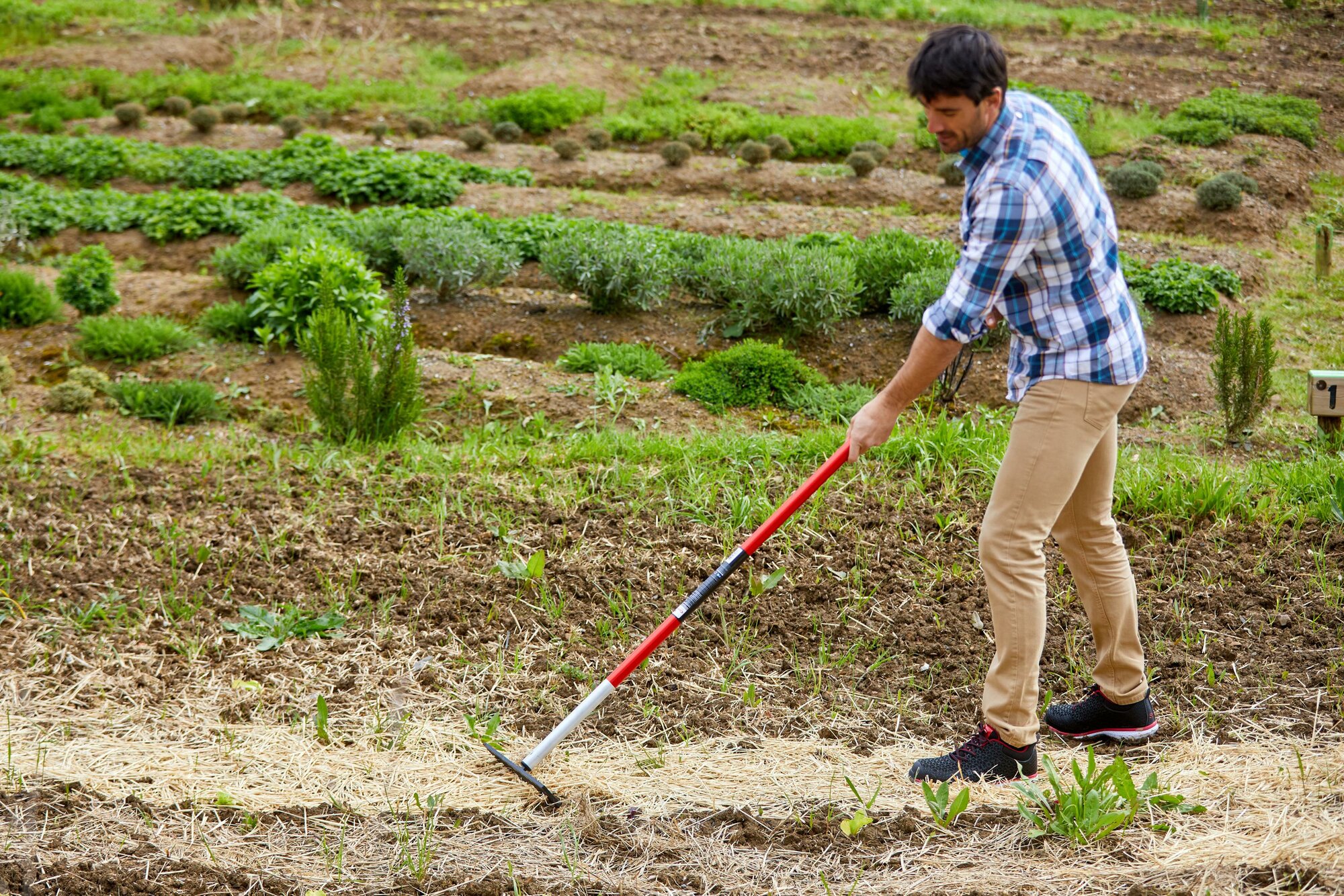 Rastrillo nivelador - 14 púas- Mango Aluminio / RK64060