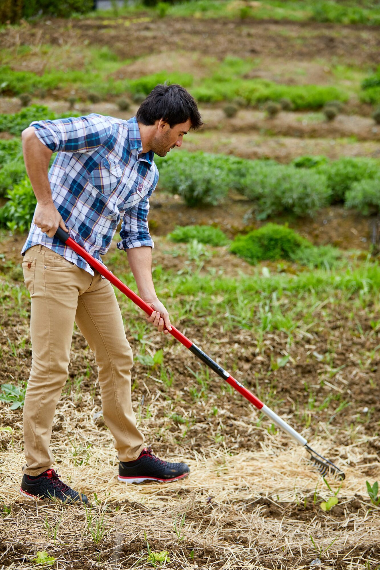 Rastrillo de arco - 14 púas- Mango Aluminio / RK65061