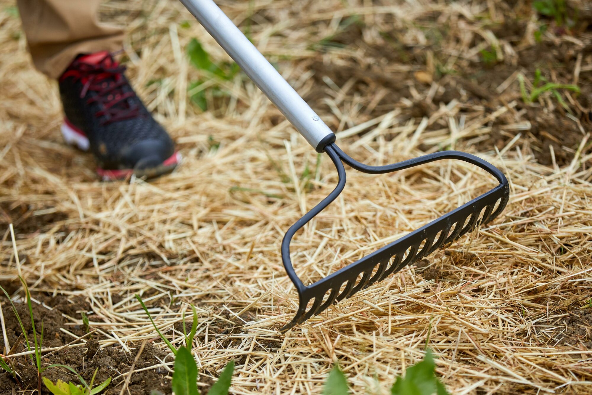 Rastrillo de arco - 14 púas- Mango Aluminio / RK65061