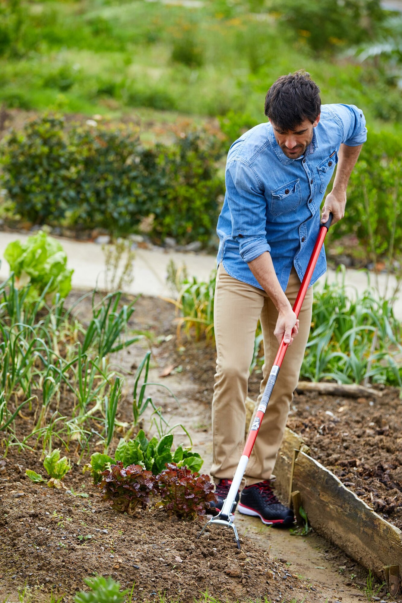 Azada Oscilante- 15 cm / SH60061