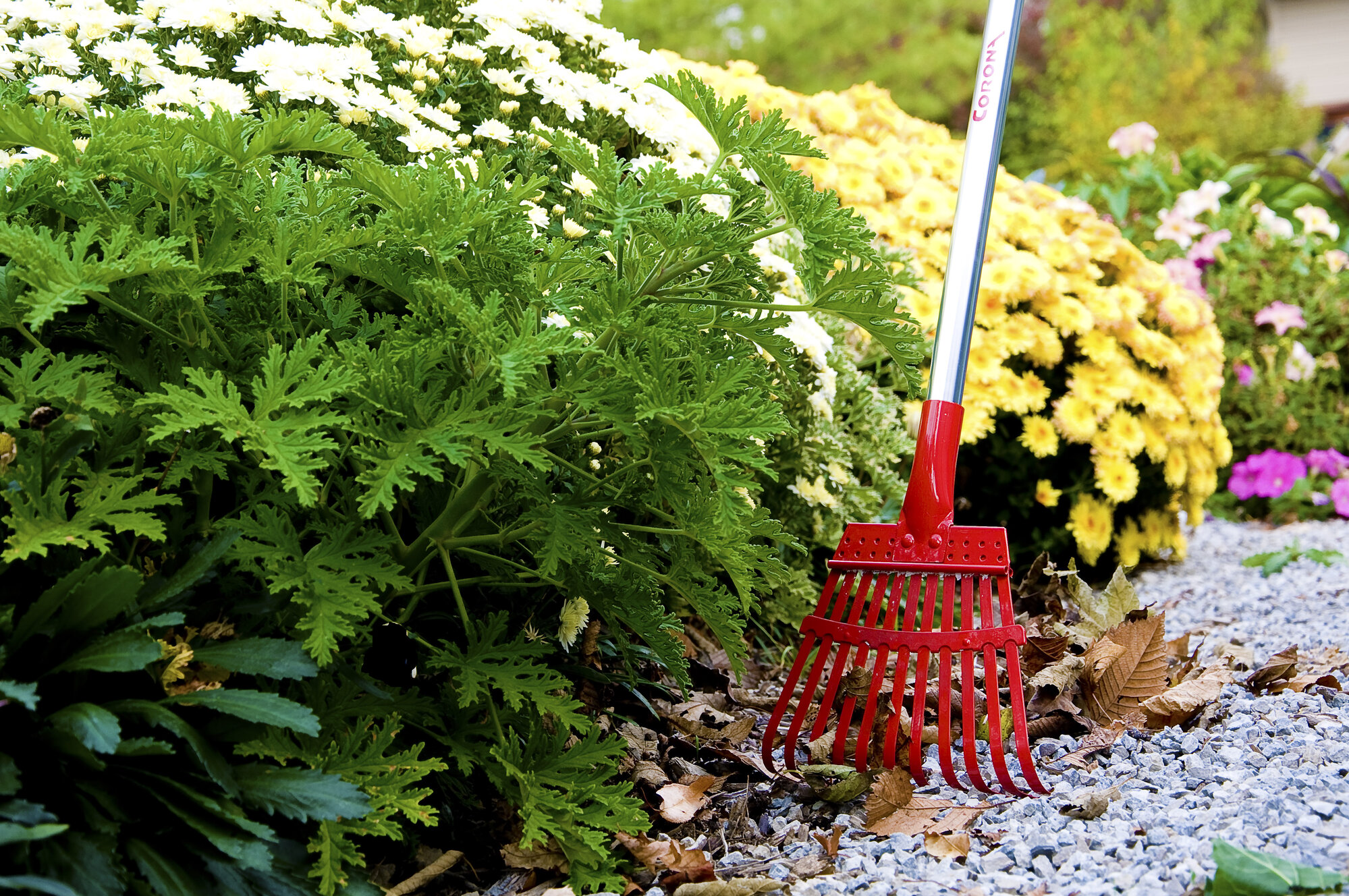 Escoba de rocalla metálica- 11 púas / RK62060