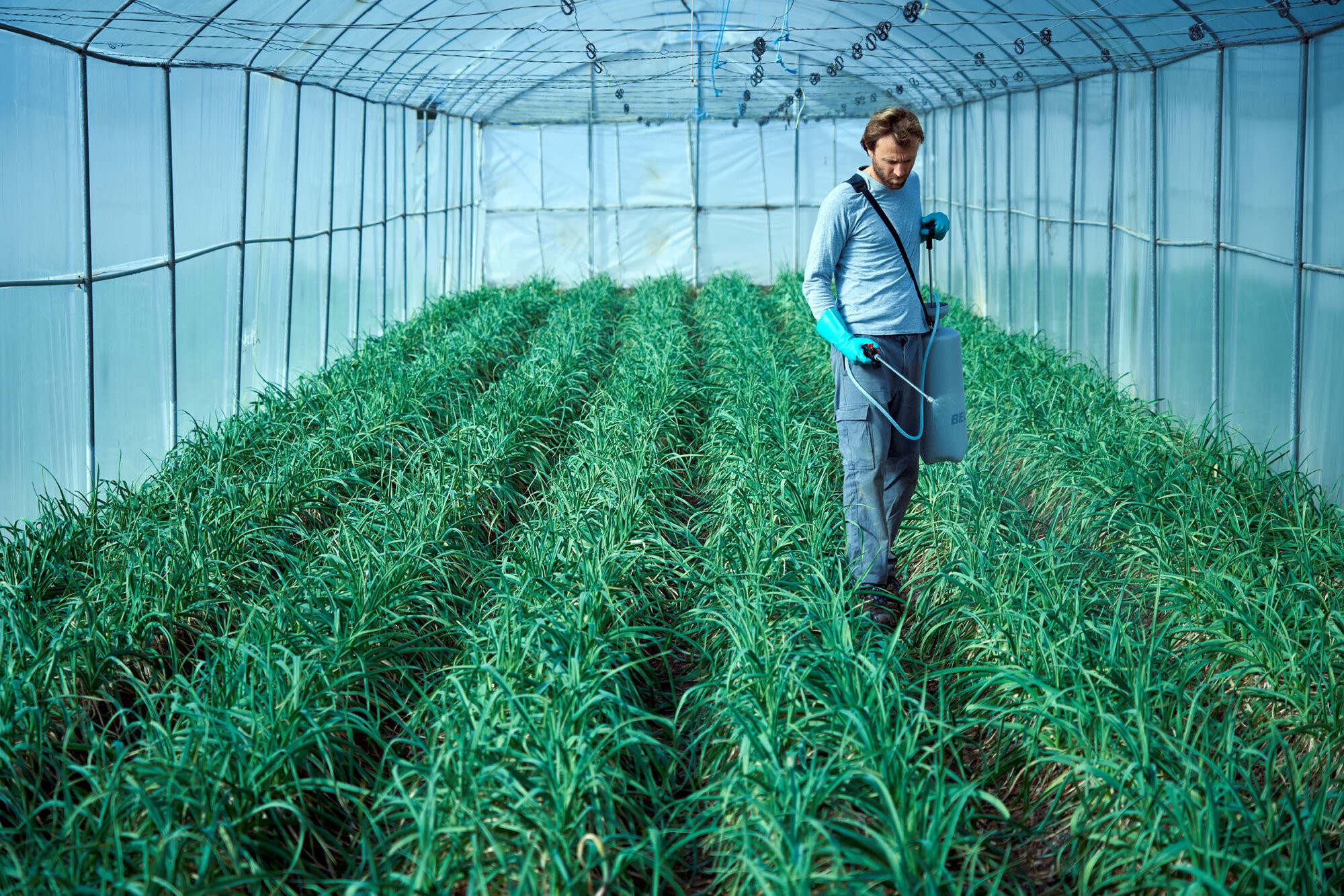 Pulverizador Profesional para trabajos en cultivos intensivos industriales / 3710